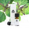 patchouli3802